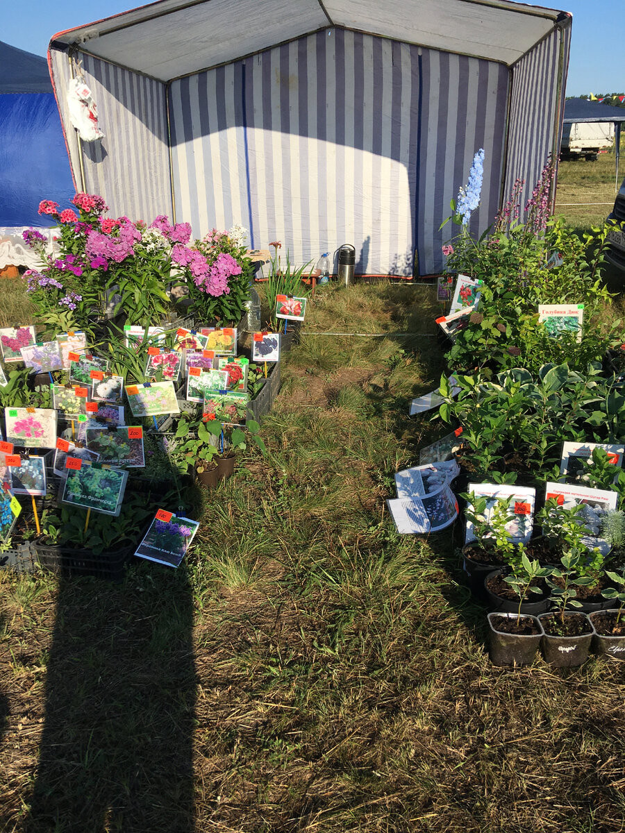 Наша скромная  витрина