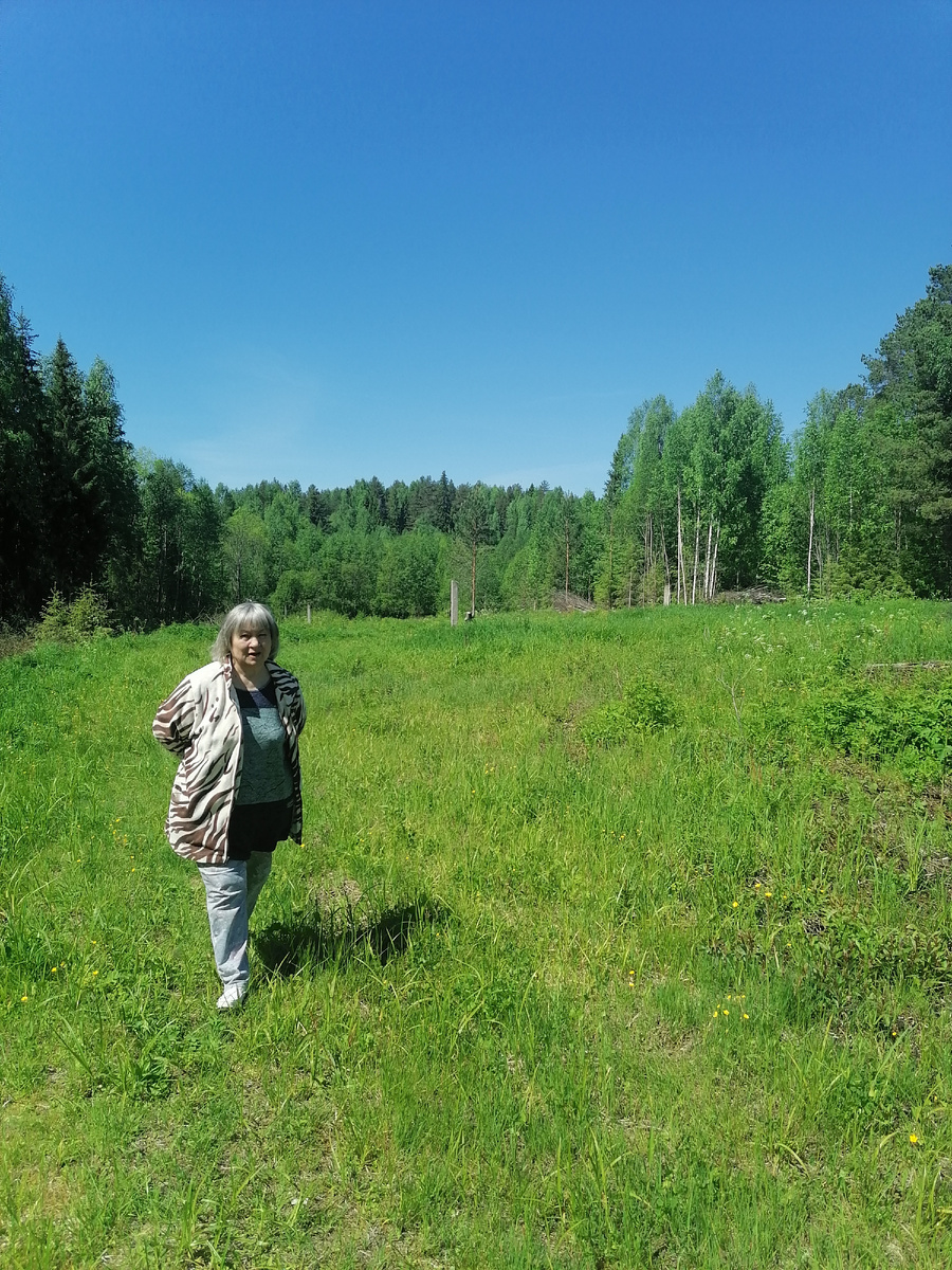 Моя сестра пыталась найти Проскуринку.