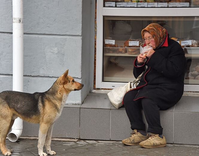 Иллюстрация - фото Виктора Коротаева, «Коммерсантъ»