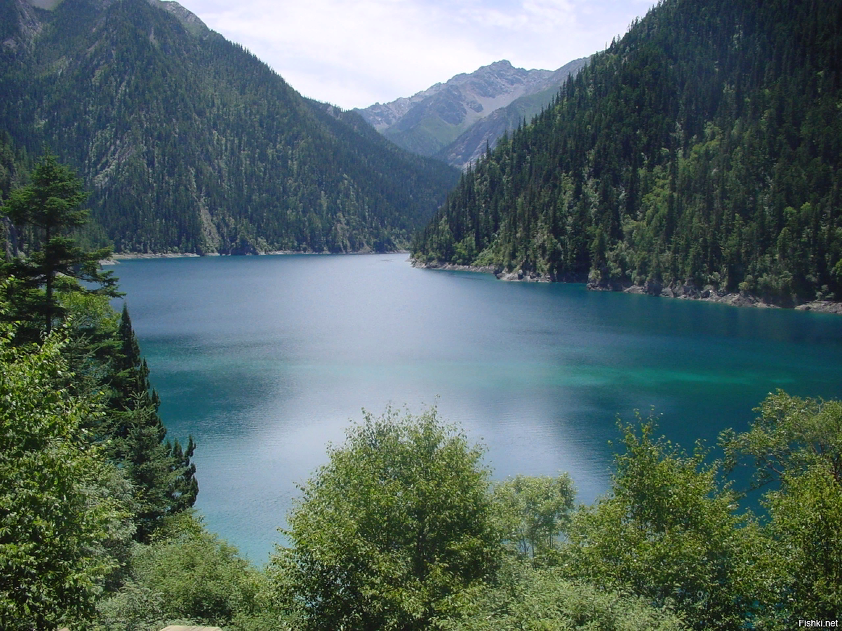 Амур