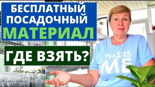 Как сохранить ЦВЕТЫ на следующий сезон.Семена сильно подорожали