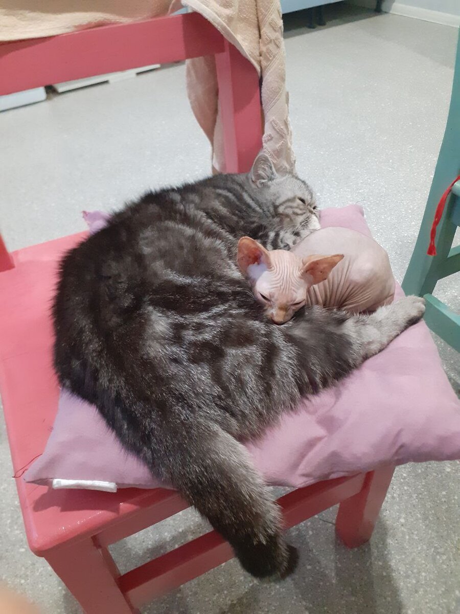 Минуты затишья между тыгыдыками. 