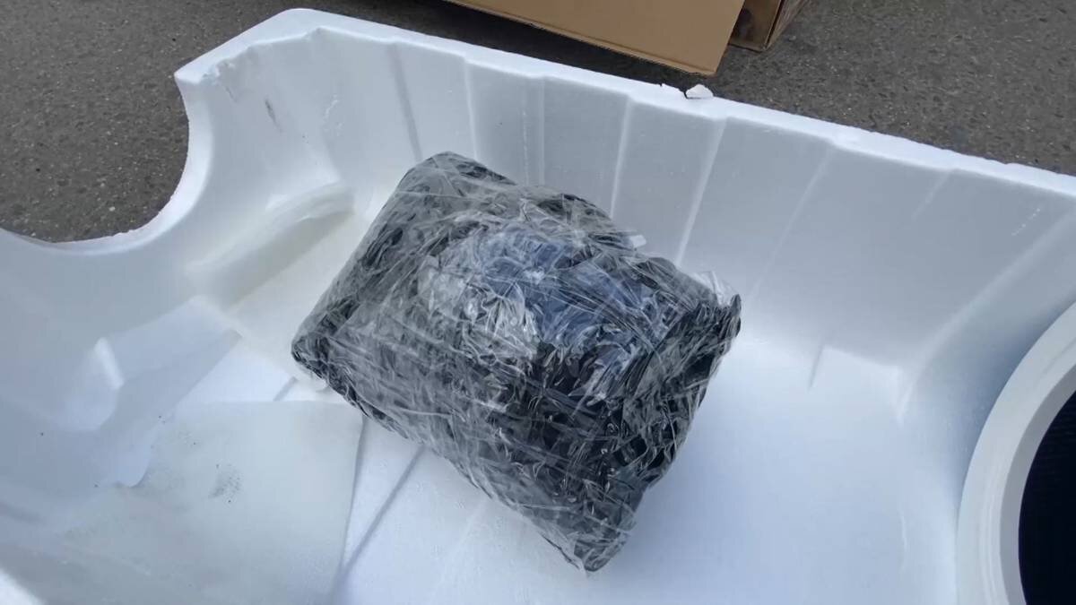    Фото: Пресс-служба ГУ МВД России по Московской области