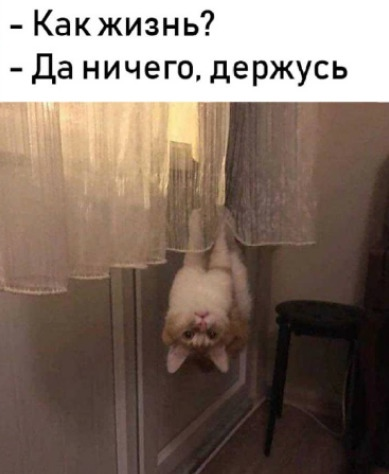А Вы ЗА Россию? Правильный вопрос, единственный ответ
