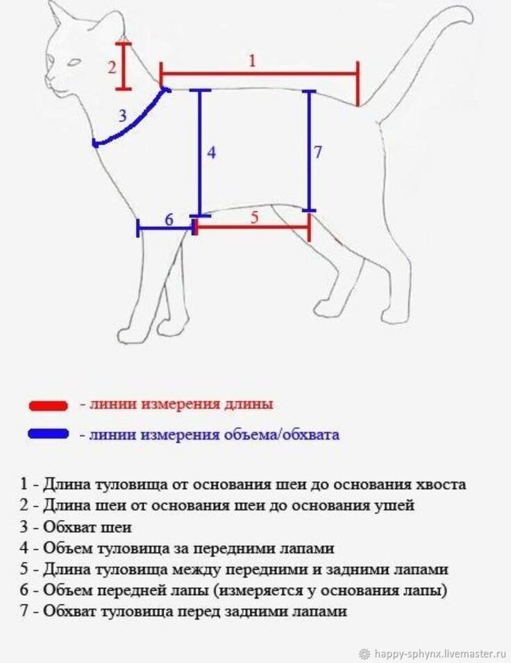 Как сшить одежду для кошек своими руками