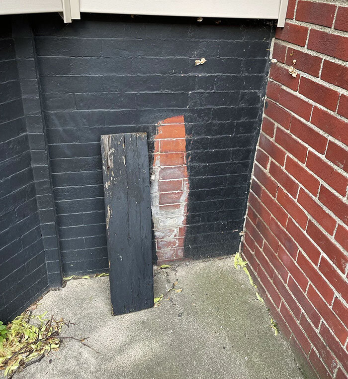 Фото: gravitas-deficiency / Reddit📷
