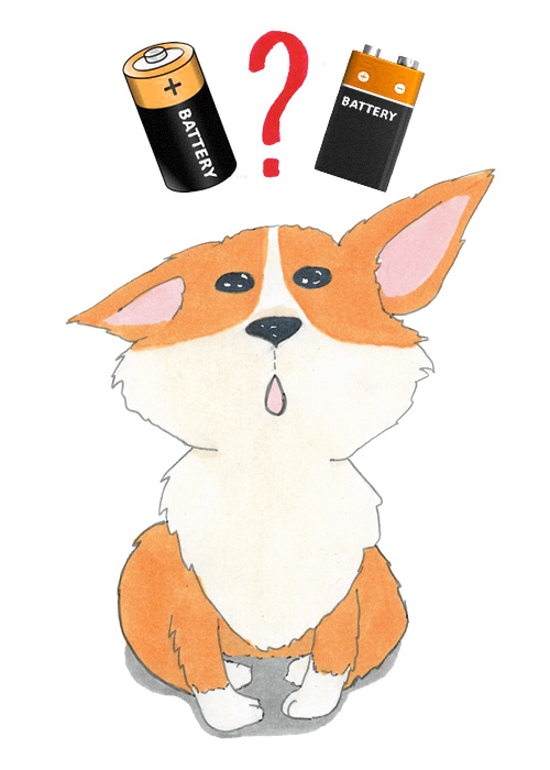 Иллюстрации @saffrontea