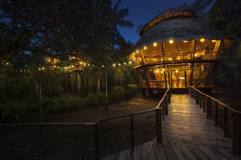 Отель тропические джунгли. Treehouse Lodge Икитос, Перу. Treehouse Lodge Resort, Iquitos, Peru. Ariau Amazon Towers Hotel, штат Амазонас Бразилия. Отели в джунглях амазонки.