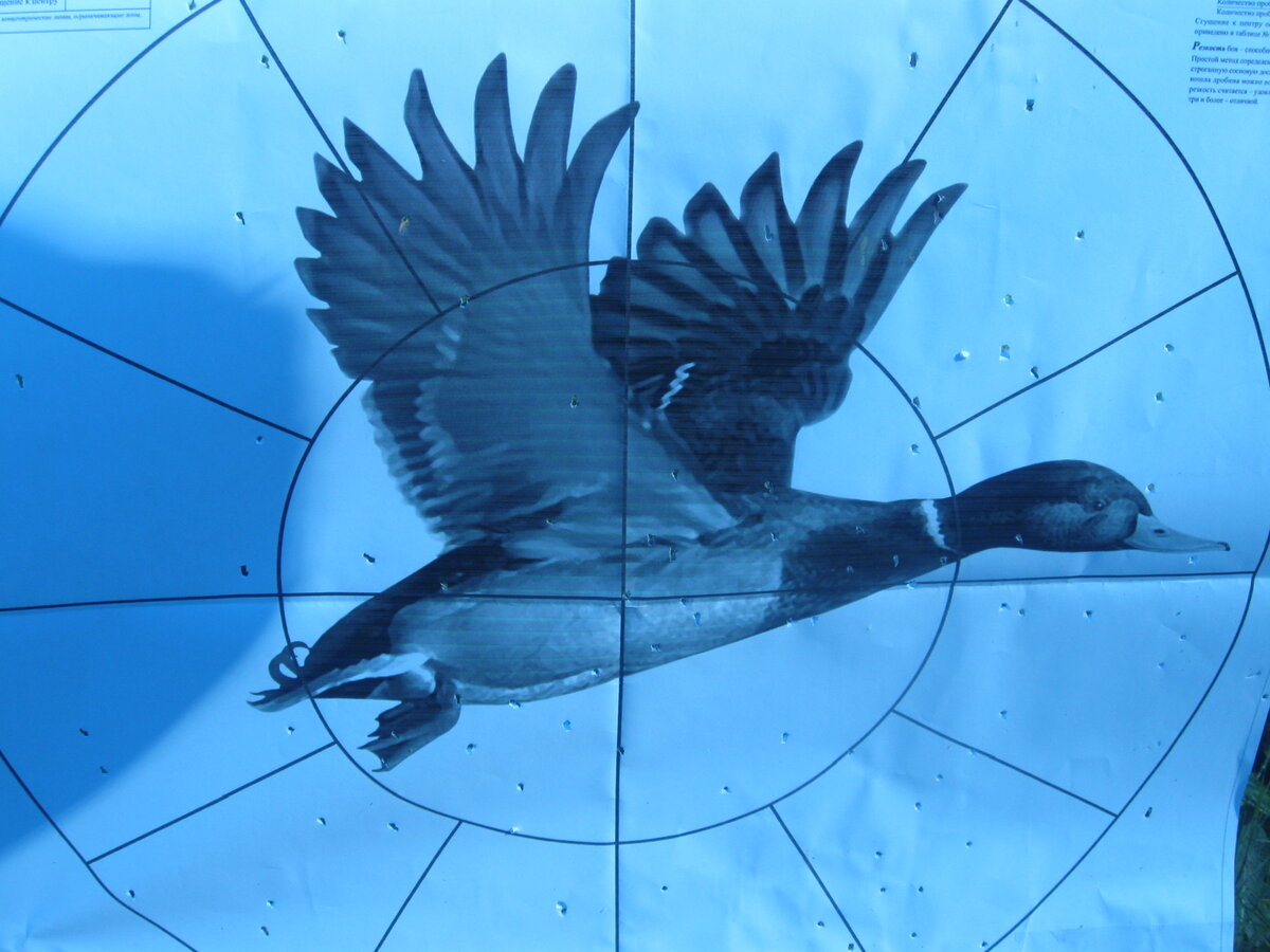 В свободное время постреляйте по мишеням