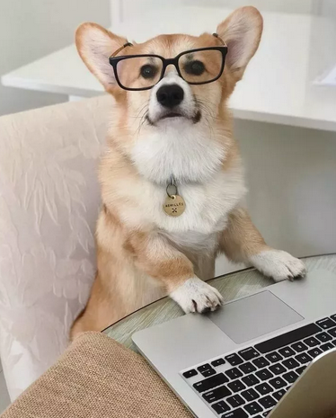 https://www.factroom.ru
