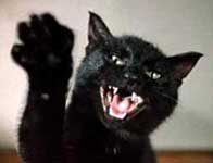 Фото с  к/ф ,,Иван Васильевич меняет профессию"