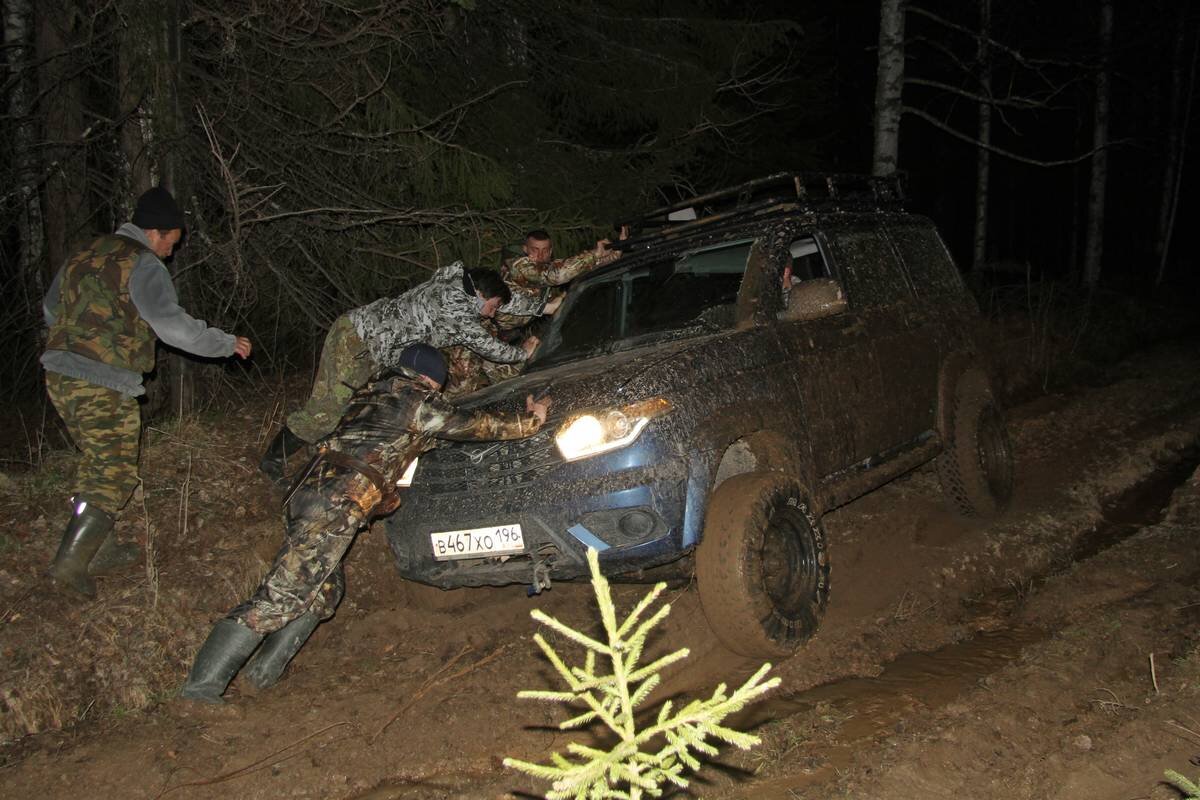 Лесной кулик объект спортивной охоты. Уральский охотничий клуб. Охотхозяйство Новохоперске. Уральская охота регион.