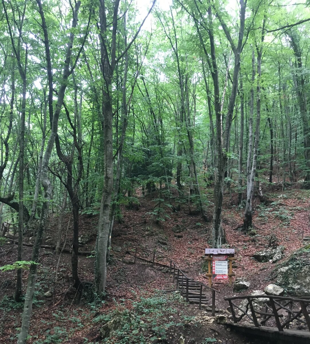 подножье Ай-петри