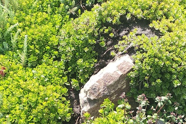 Личный архив 