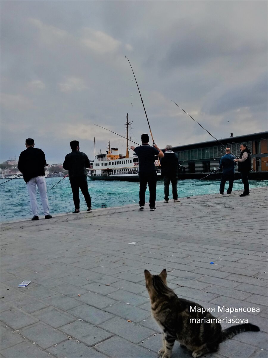 пристань Karakoy в Стамбуле