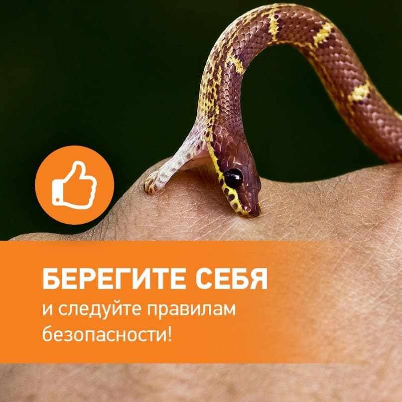 Фотография из поисковой системы Яндекса 