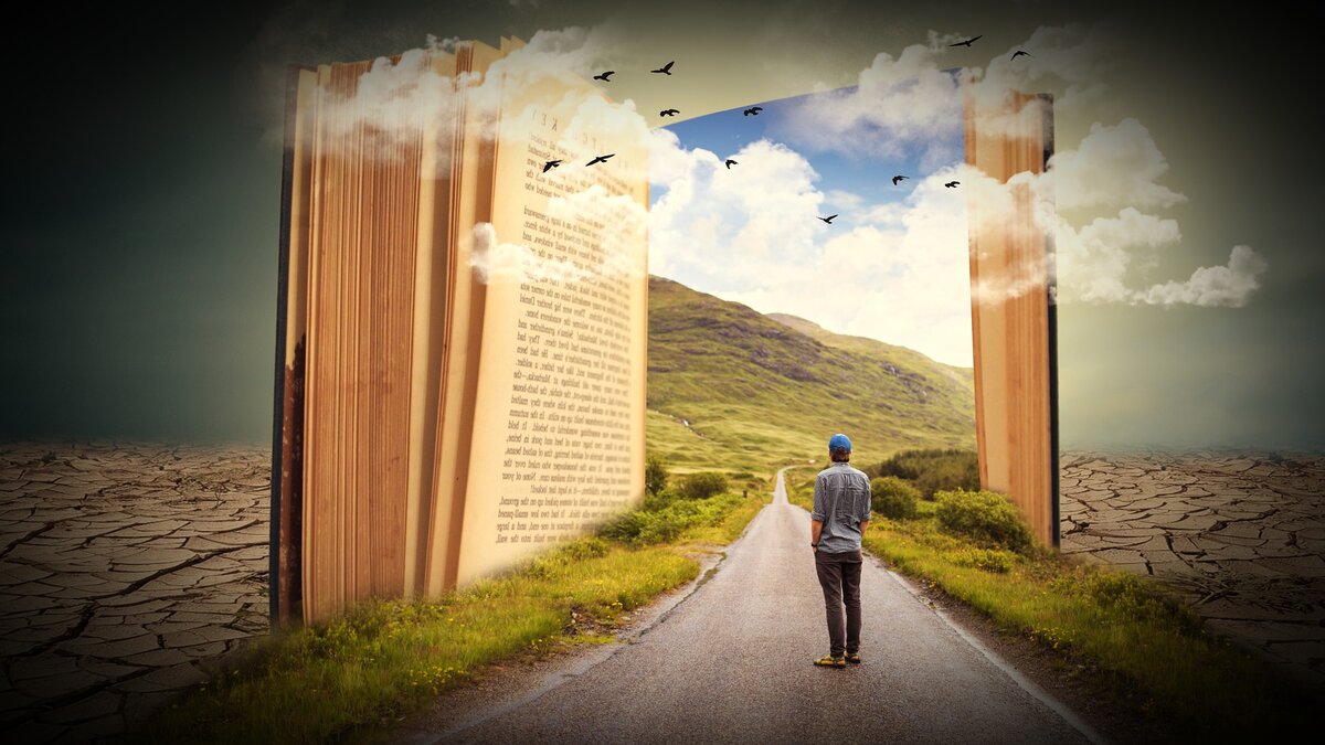 Источник фото: pixabay.com