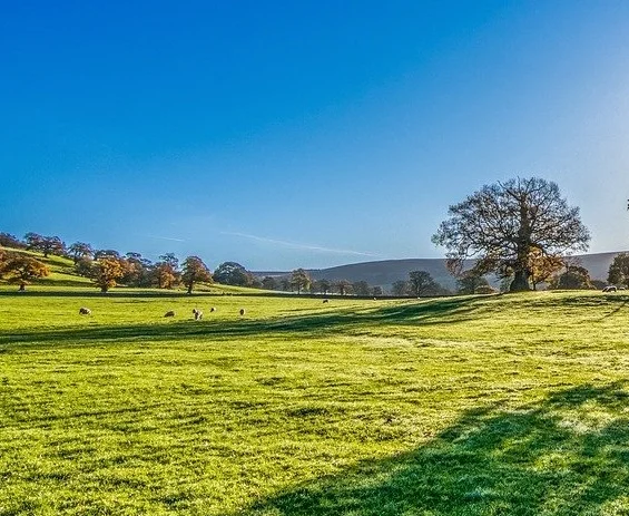  Авторское изображение взято с сайта https://pixabay.com/