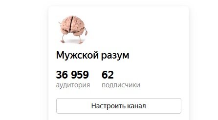 Количество аудитории и подписчиков канала "Мужской разум" на 11.06.2020