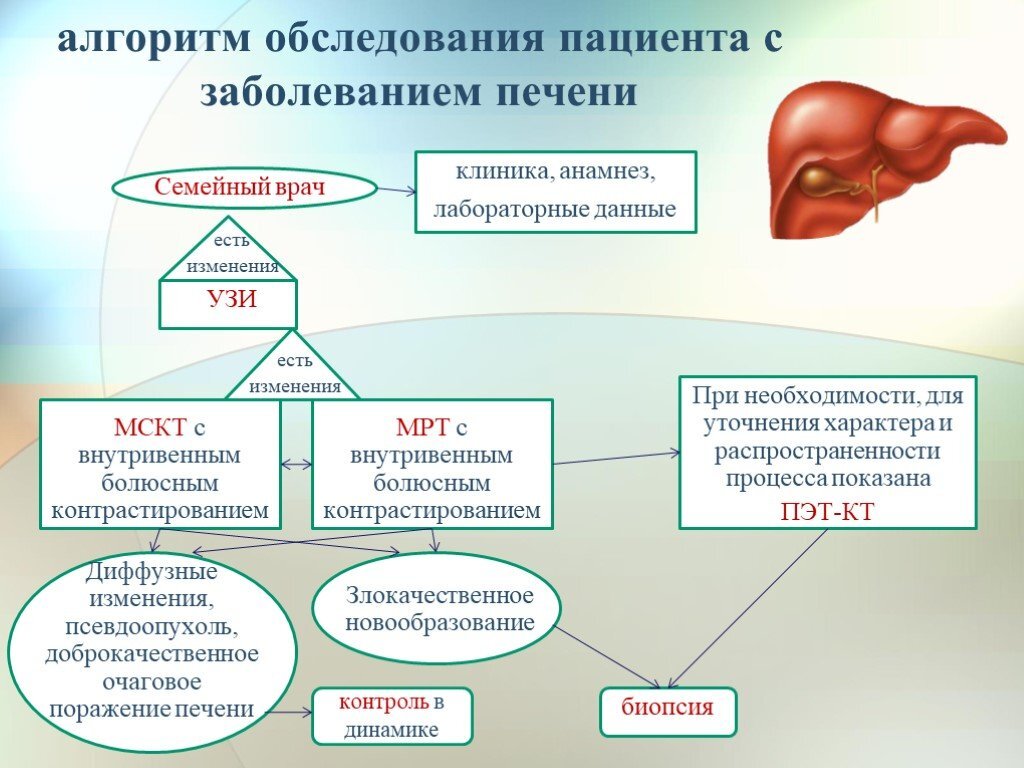 Как влияет печень на стул