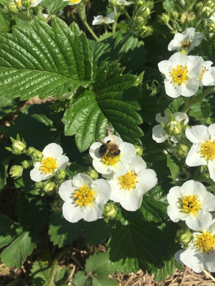 Все фото мои личные