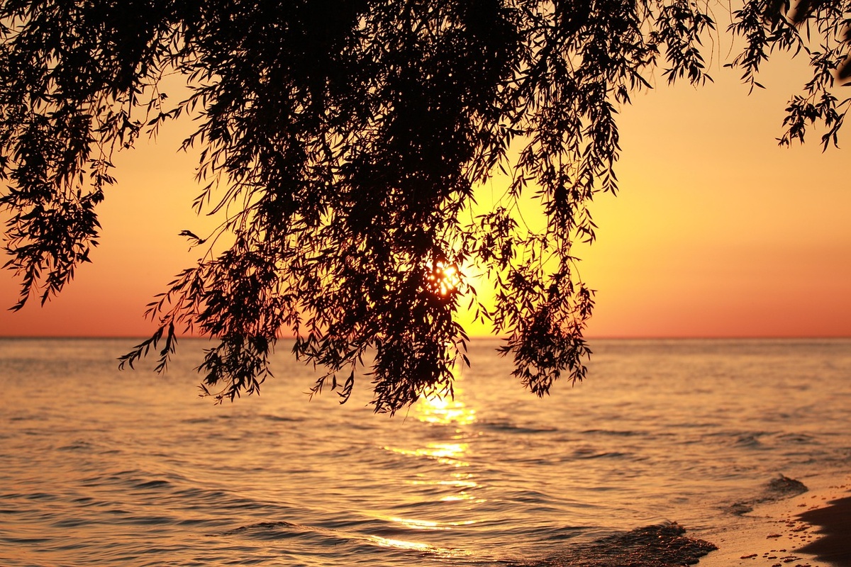 Фото из открытого источника.