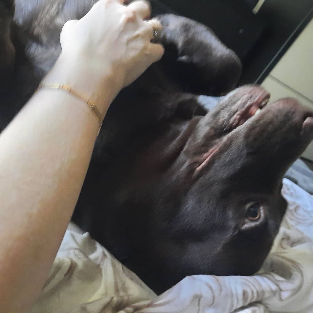 Ещё раз веселый Ганя