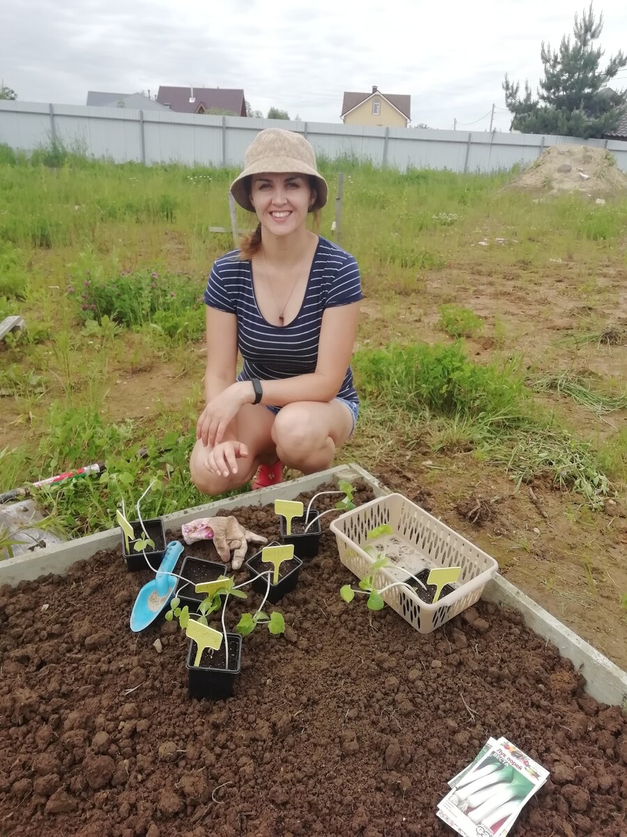                        В процессе, огурцы-жирафы. Фото автора.