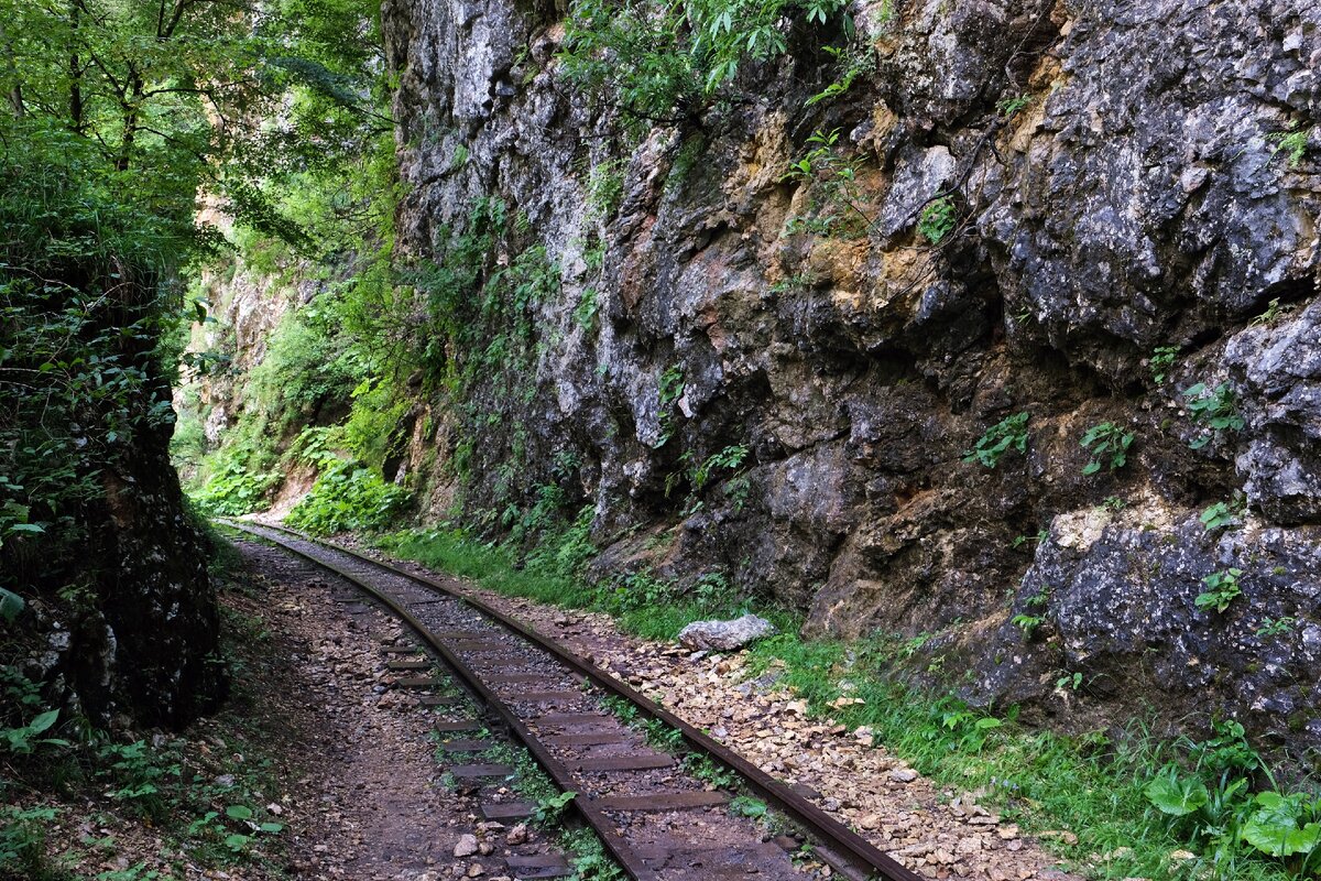 Узкоколейная железная дорога в Гуамском ущелье, Мезмай, Краснодарский край