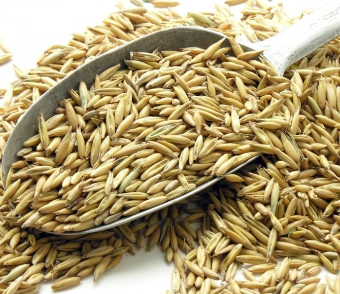 Источник: Яндекс.Картинки 