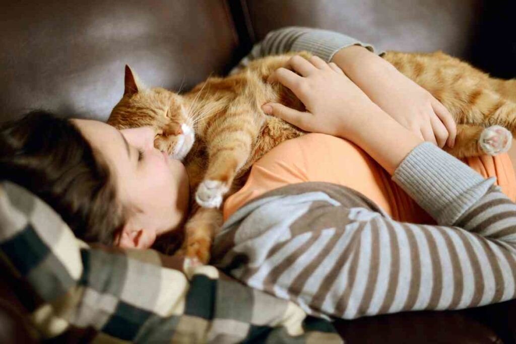 кошки могут лечить хозяина (фото Яндекс.Картинки)