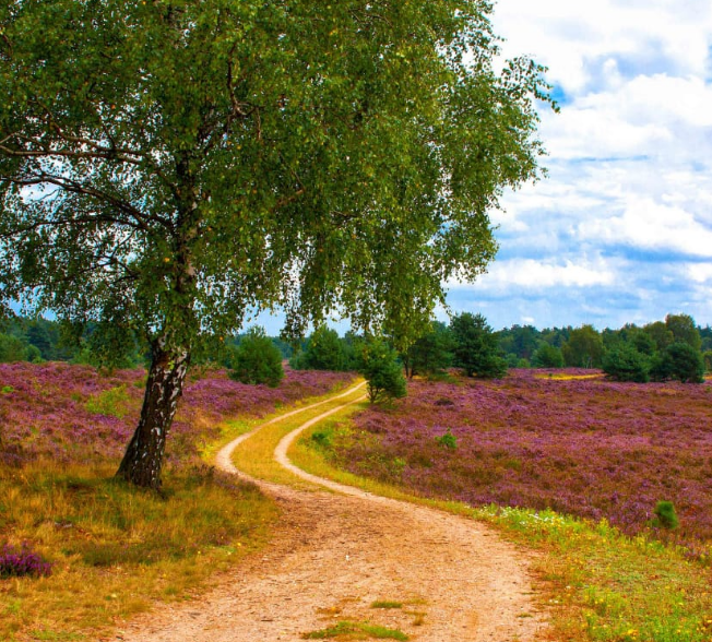 Картинка из интернет