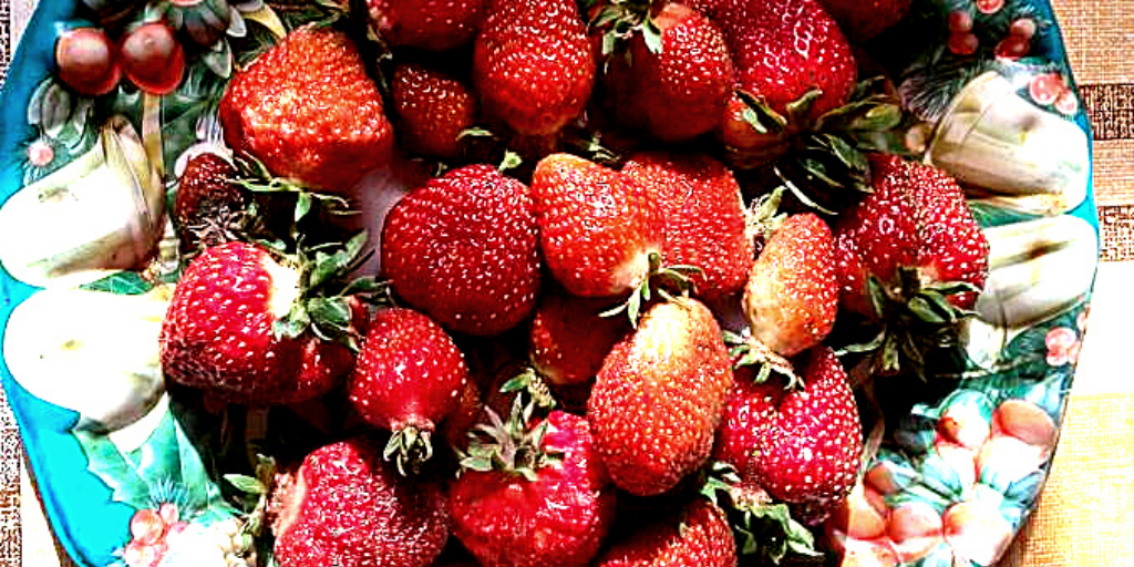 Моя любимая ягода.