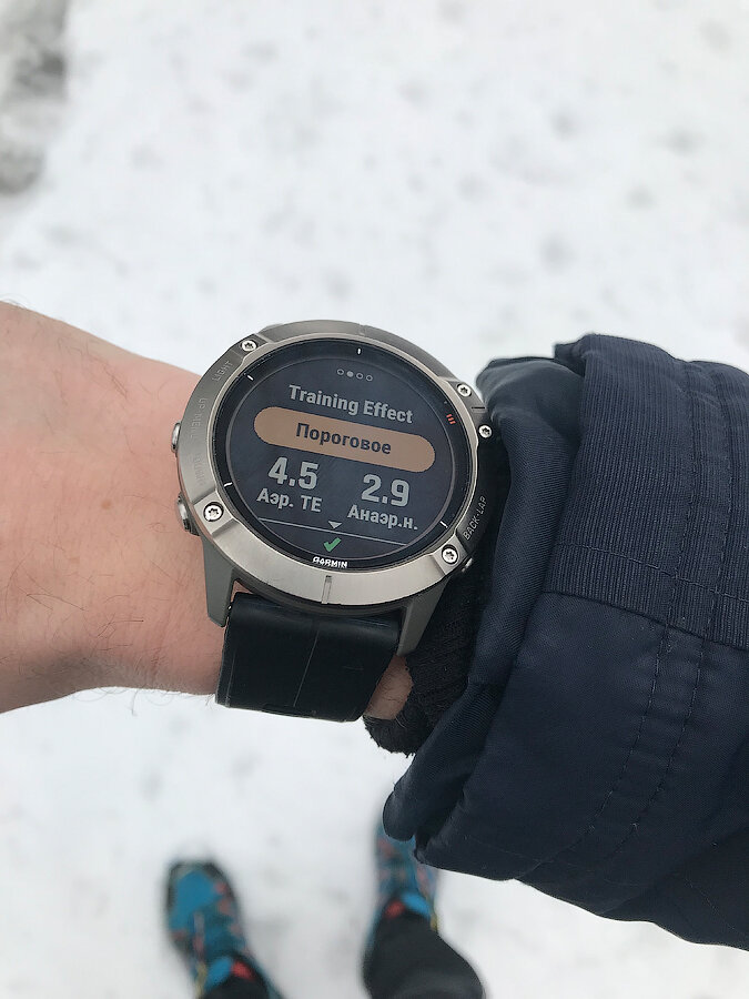 Garmin fenix 6x