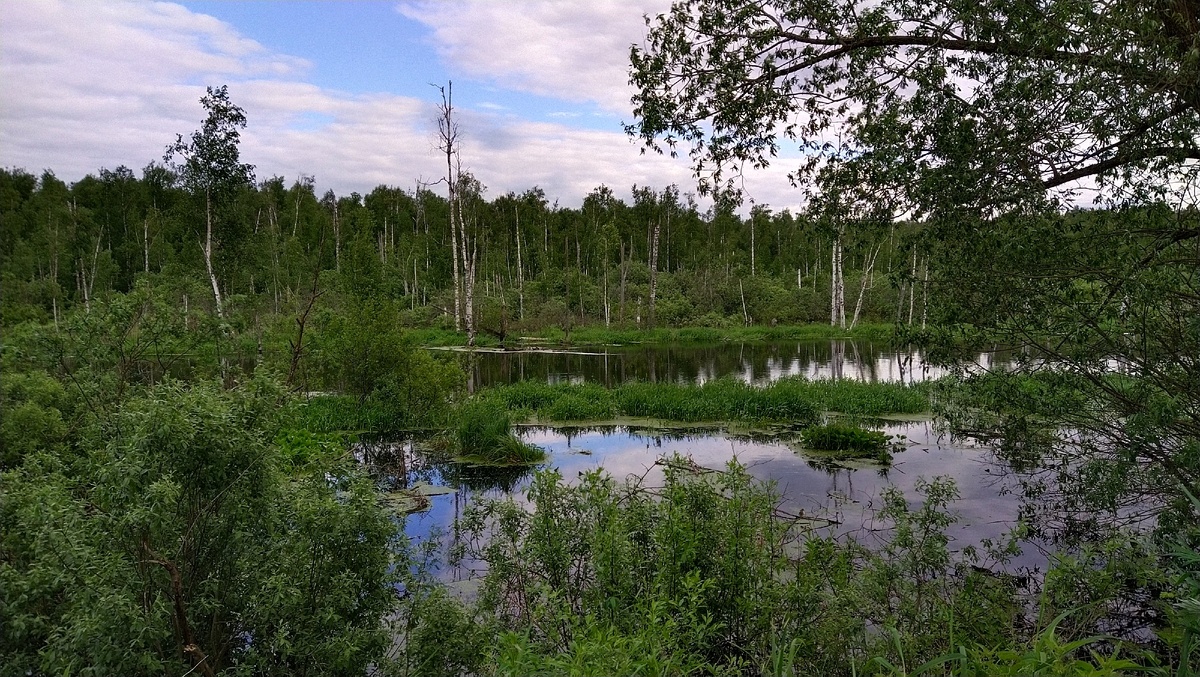 Клинский район, место не скажу))