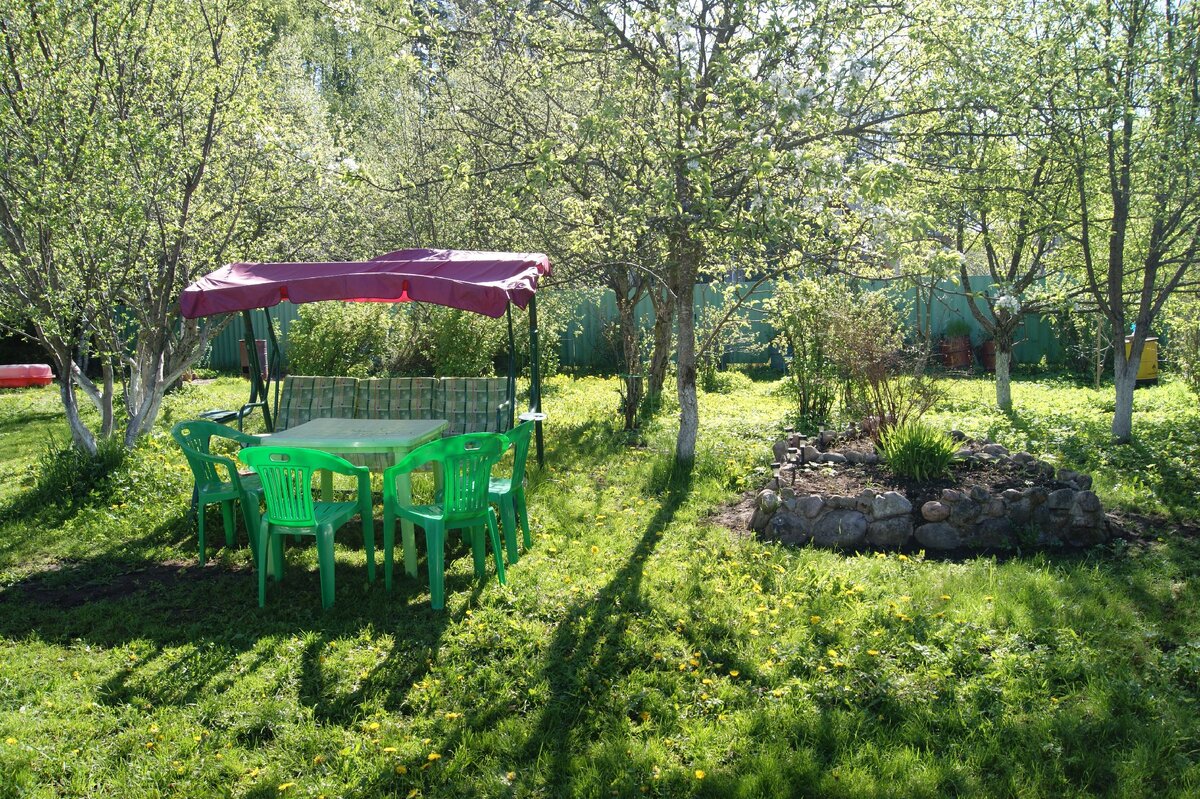 Наш любимый сад. Собакам раздолье!