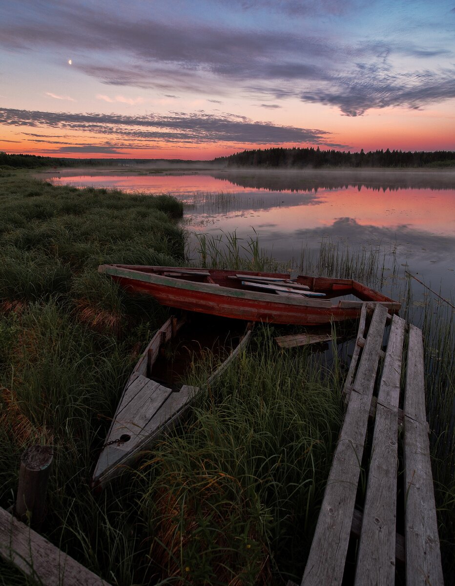 парочка на рассвете.