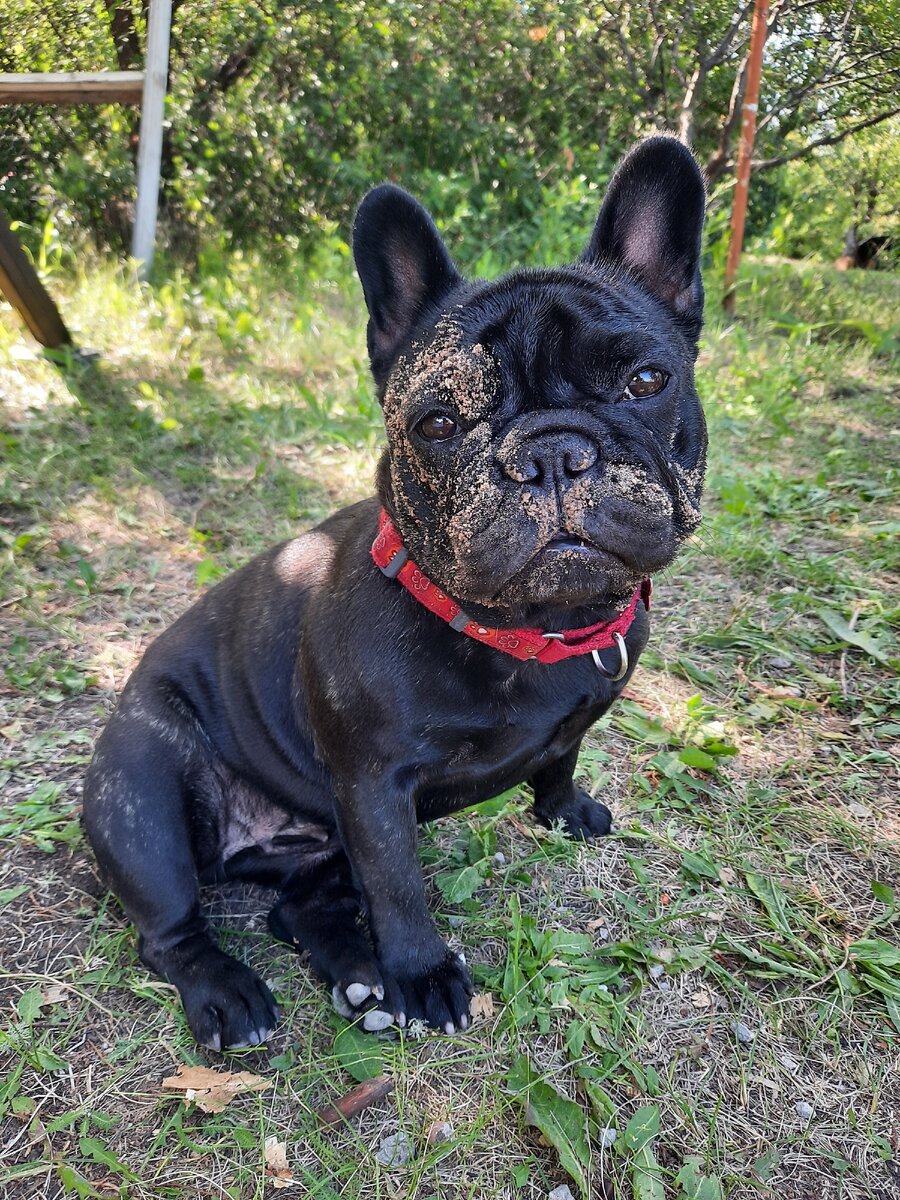 воспитанная чистюля.. разве нет?