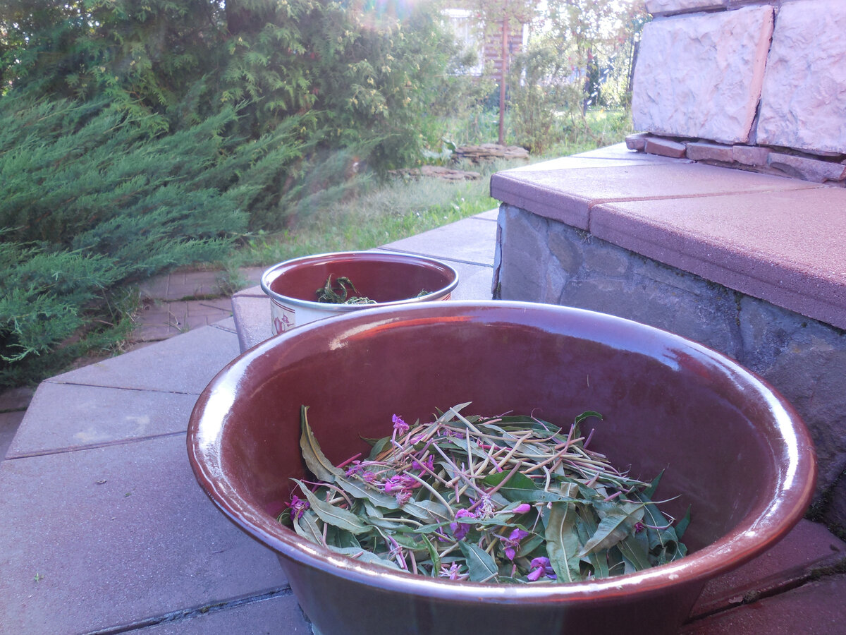 Здесь я сглупила. Видите светло-зелёные "палочки"? Это из нижней части соцветия. Как оказалось, там пух. Пришлось его потом выбирать. На ошибках учатся... Мою ошибку не повторяйте!