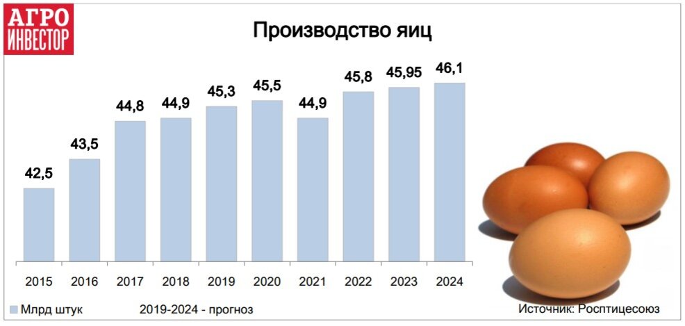 Сколько стоят яйца в америке