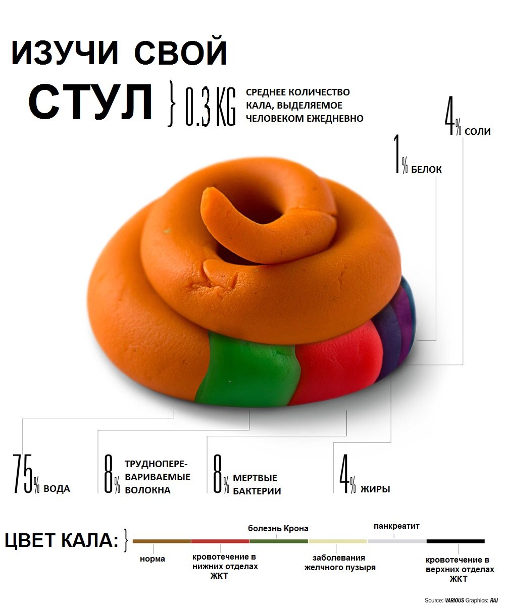 Нормальный цвет кала у здорового человека