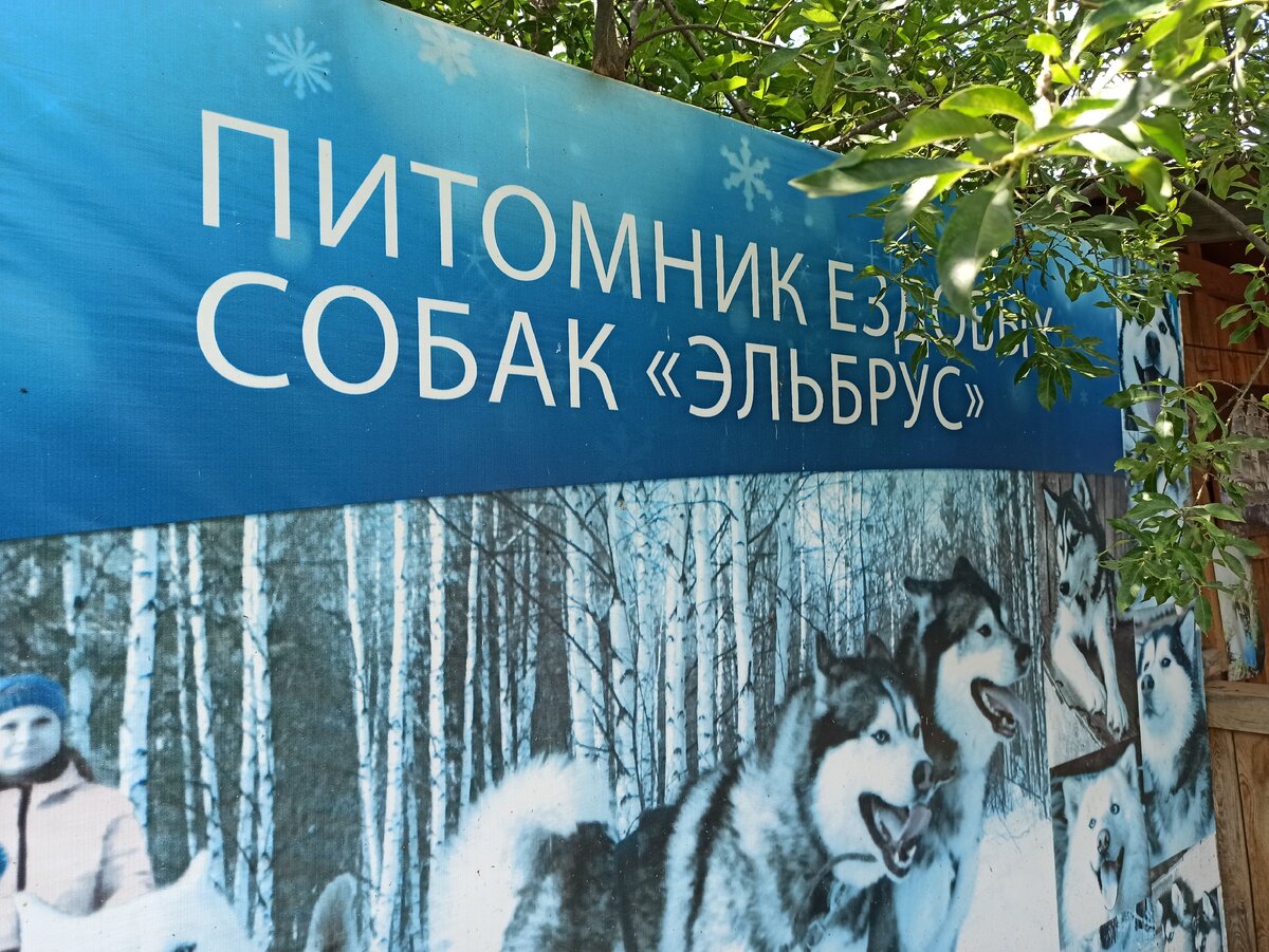 Питомник находится недалеко от Екатерина