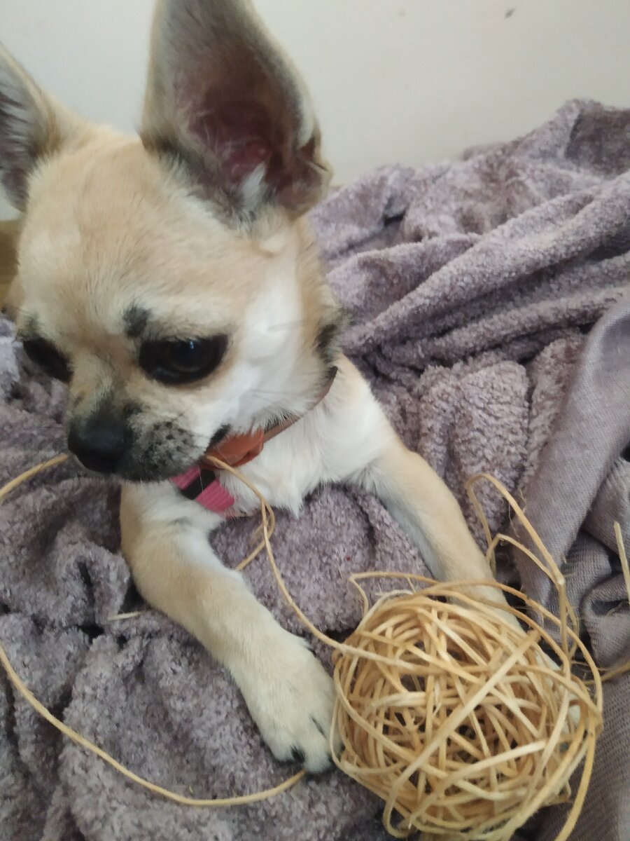 Знакомьтесь-Мотя