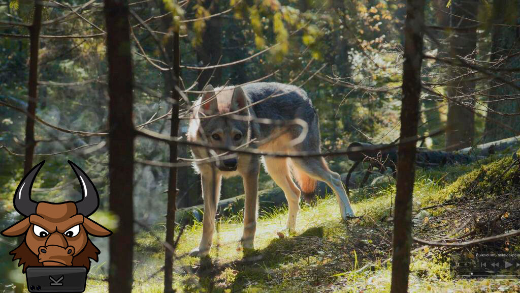 Кадр из фильма «Северное сияние. Ведьмины куклы. Фильм второй»