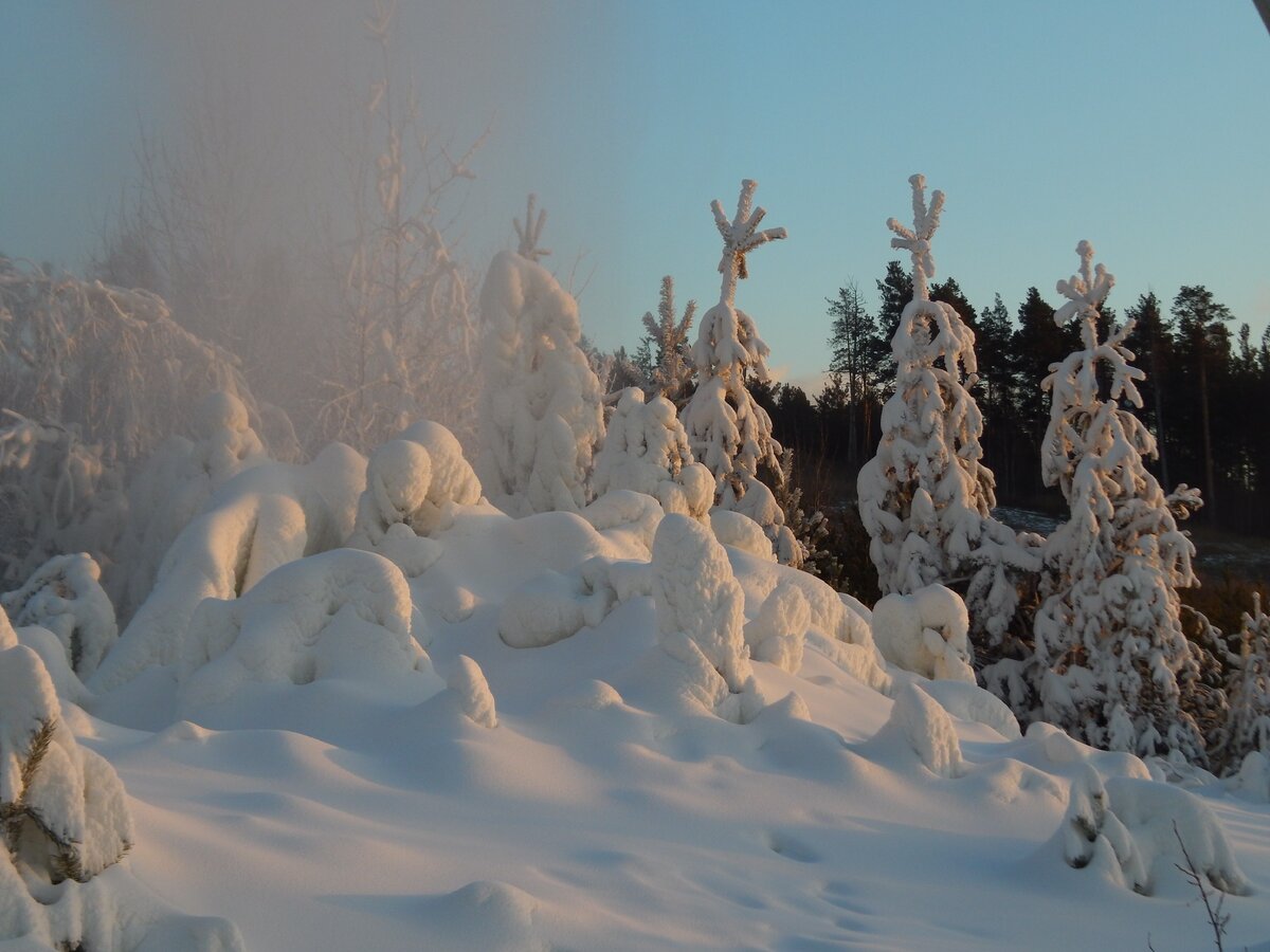 Снежное царство из искусственного снега. Фото автора Ольги Носковой