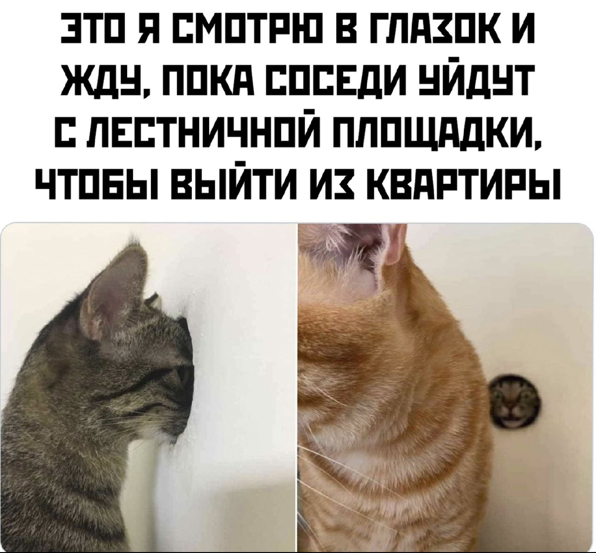 песня соседи пока