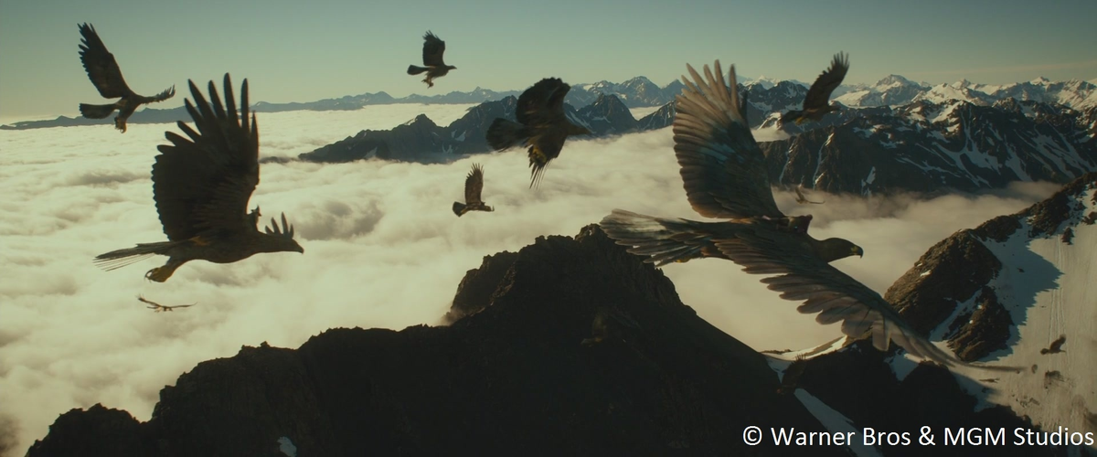 Кадр из к/ф "Властелин Колец" 