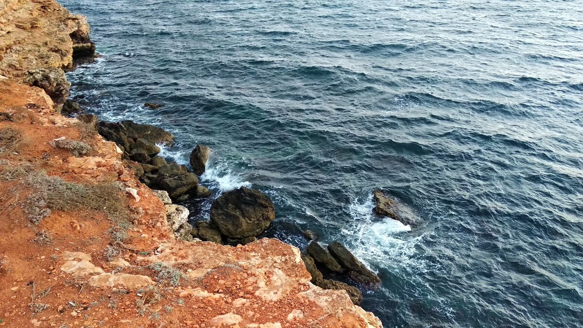 Трудно поверить что он смог выжить