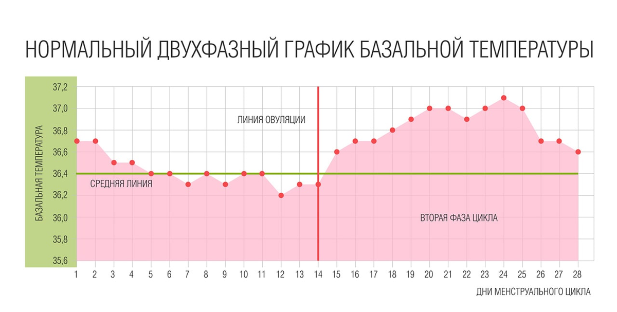 Ановуляция: почему не наступает овуляция, диагностика, как лечить?