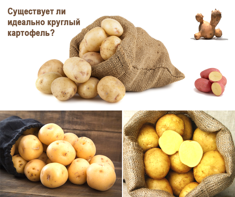 Пост перед пасхой. Можно ли есть картошку в пост. Сколько по времени варить картошку. Календарь великого поста. Можно ли есть картошку в пост.